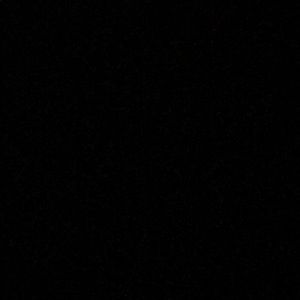 Meet your Posher, Paige